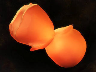 Eta Carinae Homunculus Nebula in 3D
